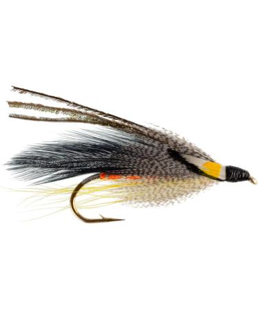 The Fly Fishing Place Classic Streamers Collection - 12 Trout Wet Fly Streamers, Size 4 - Buy Online on GoSupps.com