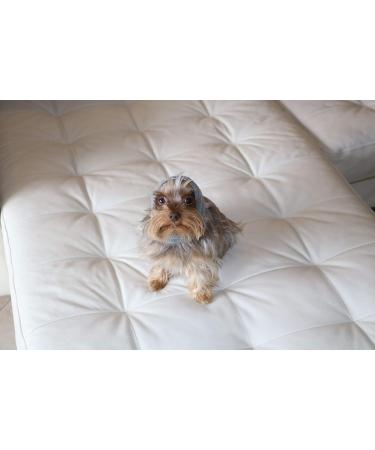 Pet Hoodz for Dog Anxiety | Soothing Ear Protection & Fur Care | Small Black & Blue Dog Ear Wraps - Buy Online on GoSupps.com