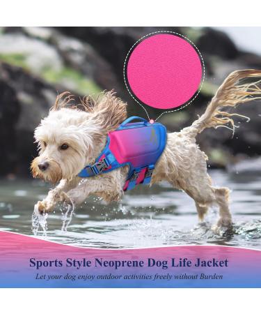 Vivaglory Light Lifeguard Dog Vest - Skin-Friendly Neoprene Swimming Vest for Small Dogs - Pink & Blue - Quick Lock & D-Ring - Size S (Chest 48-56cm) - Buy Online on GoSupps.com