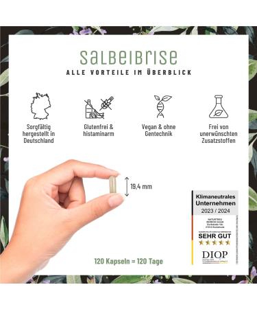 NATURTREU High Dose Sage Capsules - 6000mg Sage Extract (60:1) - Vegan & Lab Tested - 120 Capsules for Optimal Health - Buy Online on GoSupps.com