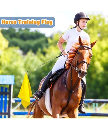 Equestrian Training Flags 4-Piece Set | Nylon Flags for Horse Training | Yellow Pink Purple Dark Blue - Buy Online on GoSupps.com
