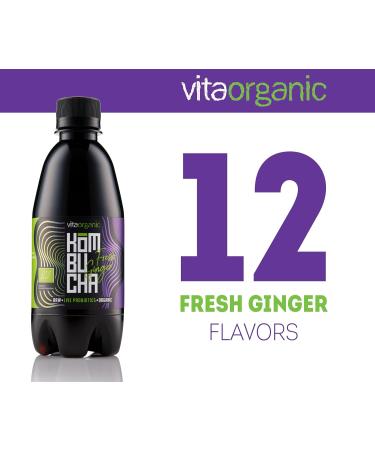 VitaOrganic Kombucha Tea Drink 330ml - Sparkling Green Tea with Kombucha Live Culture 100% Organic and Naturally Fermented - Buy Online on GoSupps.com
