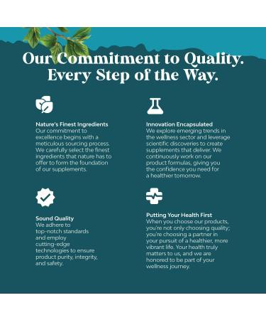 Natural Mind and Memory Supplement for Increased Mental Performance and Clarity Supports Brain Function Made with Pure Green Tea Extract DMAE Bitartrate and Vitamins 60 Capsules - 2 Pack - Buy Online on GoSupps.com