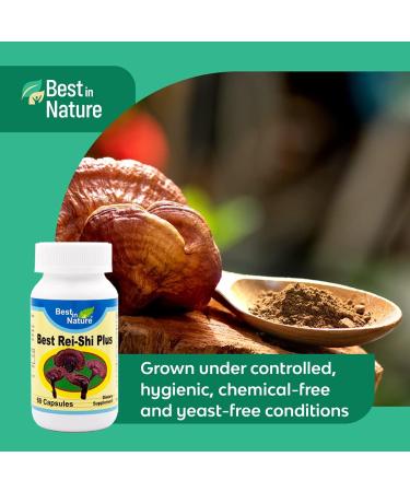 Best in Nature Best Rei-Shi Plus - Sleep Better Improve Immune and Liver Function- Premium Organic Rei-Shi Mushroom Extract - Buy Online on GoSupps.com
