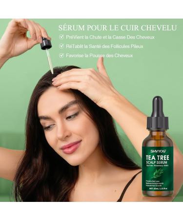 Coffret Shampoing et Apr s-Shampoing L'arbre Th Antifongique Apaise les D mangeaisons et Les Pellicules Pr vient la Chute des Cheveux Lot de 3 Pi ces pour Hommes et Femmes 200ml*2+30ml - Buy Online on GoSupps.com