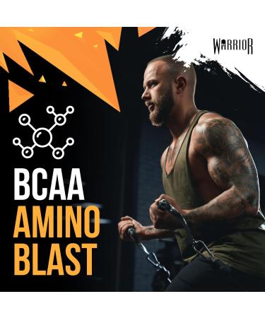 Warrior Amino Blast 270g BCAA Powder Branched Chain Amino Acids Supplement Intra Workout & Recovery Energy Drink 30 Servings (Fruit Salad) - Buy Online on GoSupps.com