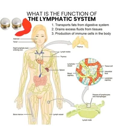 Elegance Lymphvity Magnetherapy White Onyx Earrings Lymphatic Drainage Therapeutic Magnetic Ear Ornament Non Piercing Magnetic Acupressure Earrings Magnetic Therapy Earrings (2 Pcs) - Buy Online on GoSupps.com