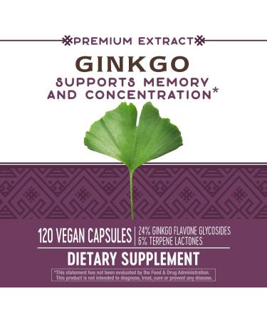 Nature's Way Ginkgo Biloba 120 Vegan Capsules - Boost Memory & Focus - Buy Online on GoSupps.com