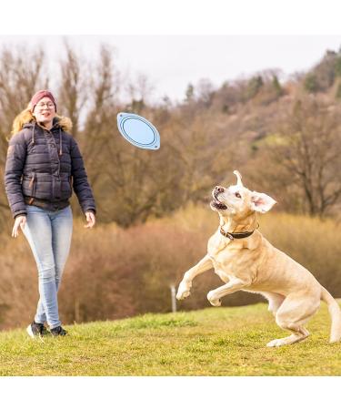 2 Pack Foldable Travel Bowls for Dogs - Silicone Water & Food Bowls Durable & Dog-Proof Perfect for Pets on the Go (Pink & Blue) - Buy Online on GoSupps.com