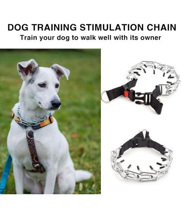 Metal Choke Chain for Dog Durable Anti Bark Collars for Pet Dog Training Outdoor Stainless Steel Prong Collar Personalised Dog Chain Collar for Large Medium Dogs (4mm*60cm) - Buy Online on GoSupps.com