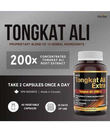 Herba Tongkat Ali Supplement for Men - 200:1 Extract 10 000mg Raw Tongkat Ali Equivalent | 60 Vegetable Capsules | Premium Tongkat Ali Extract Plus Extra | Made in Canada 60 count (Pack of 1) - Buy Online on GoSupps.com