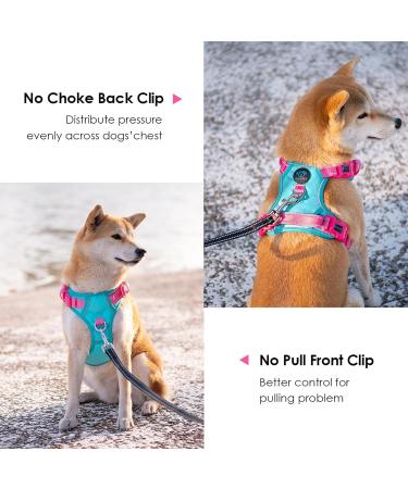 Buy Phoepet No Pull Dog Harness - Reflective Vest with Soft Training Handle for All Dog Sizes - Mint Green & Pink - Buy Online on GoSupps.com