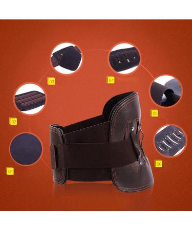 Buy Generic Back Support Belt Waist Trimmer for Lower Back Sciatica - Unisex Corset for Pain Relief - Buy Online on GoSupps.com