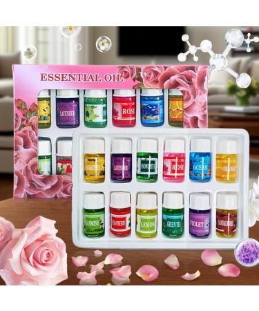  Naqqios Aromatherapy Oils | Set of 12 Water-Soluble Aromatic Essences - Natural Water-Soluble Oils for Humidifiers 3 ml Long-Lasting Air Freshener for Bedrooms and - Buy Online on GoSupps.com