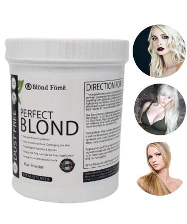 White Lightening Powder 30 Volume Bleach Kit with 9% Developer - 1.1lb Tub - Buy Online on GoSupps.com