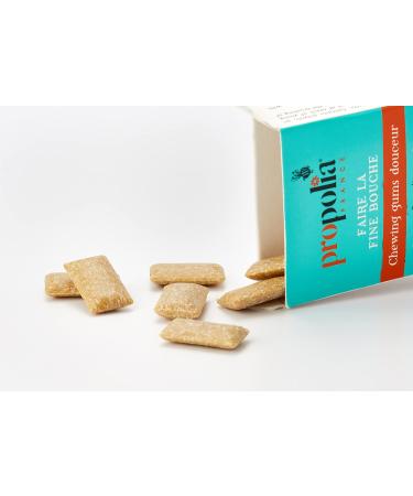 Propolia - Chewing gums Propolis & Cinnamon - Oral hygiene Protection and fresh breath - Sugar-free - Made in France - 25 dragees - Buy Online on GoSupps.com