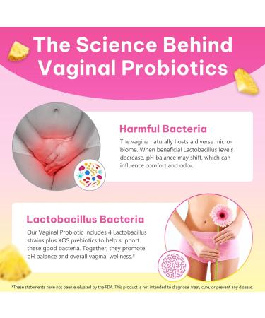 Feminine Probiotics Gummies for Women 60 Count Vaginal Probiotics Gummies with Slippery Elm Vegan for Women PH Balance Gut Health & Immune System Prebiotics & Lactobacillus Blend Pineapple Flavor - Buy Online on GoSupps.com