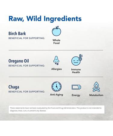 North American Herb & Spice Raw ChagaMax - 90 Veggie Capsules for Natural Health - Buy Online on GoSupps.com