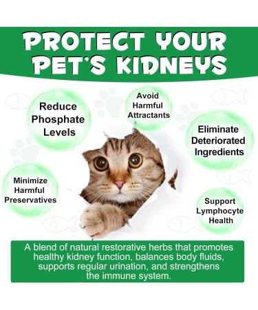 Kidney Support Drops for Dogs and Cats 60ml for Healthy Kidney Function in Cats and Dogs Natural Herbal Supplements Increase Immunity (Cats) - Buy Online on GoSupps.com