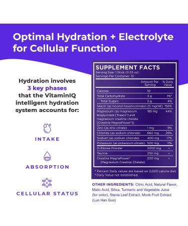 Electrolytes Powder - 15 Sticks for Energy & Endurance | IV Hydration Multiplier Orange Mix for Mental Clarity & Fluid Balance - Buy Online on GoSupps.com