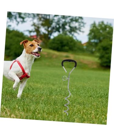 Milist Dogs Pile Floor Anchor: Durable Metal Spiral Dog Tie-Out Stake for Secure Outdoor Pet Leash - Buy Online on GoSupps.com