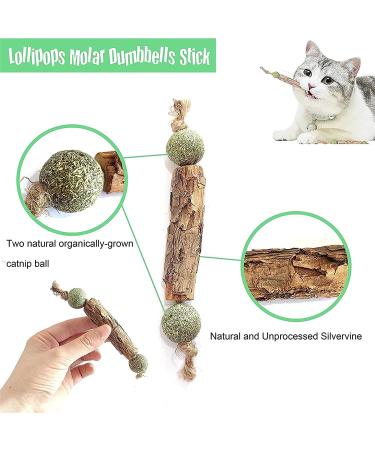 4-Pack Organic Catnip Sticks for Dental Care | Cat Chewing Toys & Caust Sticks Set - Buy Online on GoSupps.com