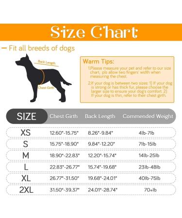 Idomik Dog Recovery Suit for Men & Women - Alternative to E-Collar Surgical One-Piece with Urinating Hole & Velcro Fastener - Breathable for Spay Surgery Size S (Chest Girth: 15.75-18.90) - Gray - Buy Online on GoSupps.com