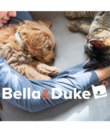 Bella & Duke Bright Eyes 50ml: Natural Antibacterial Dog Eye Drops with Goldenseal & Eyebright - Soothes Irritated Eyes, Prevents Infections - UK Made - Buy Online on GoSupps.com