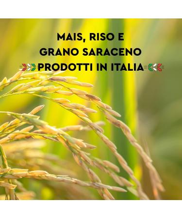  Italian Gourmet E.R. Armando Il Fusillo Gluten Free Multigrain Noodles with Corn Brown Rice and Quinoa + Italian Gourmet Pelati 400g - Buy Online on GoSupps.com