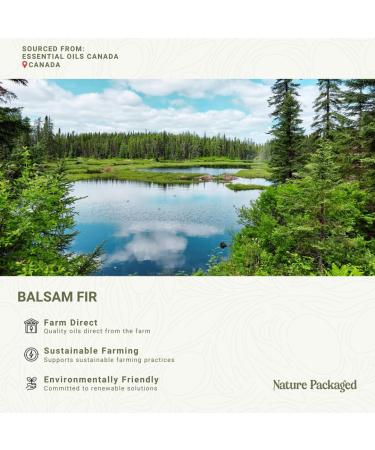Balsam Fir Essential Oil (15ml) - Direct from Our Farm Partner in Canada - Essential Oils for Home, Humidifier, or Aromatherapy | Pure Therapeutic Grade Balsam Fir 0.5 Fl Oz (Pack of 1) - Buy Online on GoSupps.com