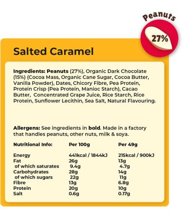 Vive Vegan Protein Bar | Plant Based High Protein Snack with Natural Sugar | Salted Caramel Flavor | Dairy & Gluten Free | 12 Count Pack - Buy Online on GoSupps.com