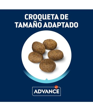 Advance Mini Sensitive Salmon - Dry Food for Small Breed Dogs with Digestive Sensitivities to Salmon 7kg - Buy Online on GoSupps.com