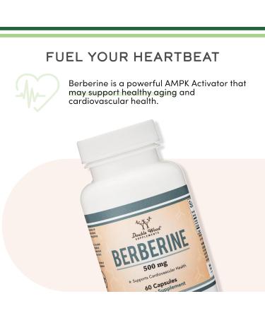 Berberine Supplement 500mg 60 Capsules (Third Party Tested Non-GMO Gluten Free Vegan Safe) AMPK Activator - Berberine HCL for Cardiovascular Health by Double Wood - Buy Online on GoSupps.com