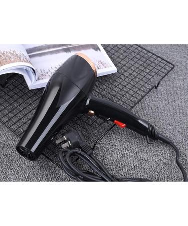 1800W Professional Hair Dryer With Air Nozzle Ionic Salon Powerful Hairdryer AC Motor Fast Blow Dryer With 3 Heat 2 Speed Cool Shot Long Cable Quiet Powerful Quick Drying for Home Salon Men Women Gold - Buy Online on GoSupps.com