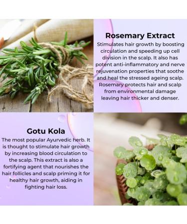 Ayumi Rosemary Oil for Hair Growth Spray | 100% Natural Clinically Proven Hair Loss Treatment | Rosemary Oil Infused Biotin to Stimulate Hair Growth | Castor Oil Organic & Pure Coconut Oil |100 ML - Buy Online on GoSupps.com