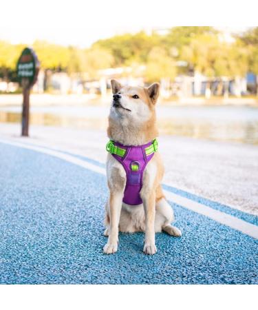 Buy Phoepet No Pull Dog Harness - Reflective Vest with Soft Training Handle for All Dog Sizes (XL) - Violet & Green - International Shipping Available - Buy Online on GoSupps.com