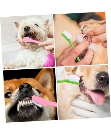 Levemolo 12pcs Double Head Dog Toothbrush Dog Oral Cleaning Toothbrush Cat Toothbrush and Toothpaste Pet Pp - Buy Online on GoSupps.com