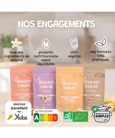 FLOCON REBEL Overnight Oats | Myrtilles 10 Petits D jeuners Sains et Rapides | Porridge Froid | Flocons d Avoine | Riche en Fibres Source de Prot ines Bio Sans Sucre Ajout - 10x45g Myrtilles 45 g (Lot de 10) - Buy Online on GoSupps.com