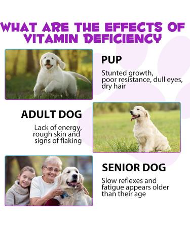Dogs Vitamins and Supplements with Glucosamine & Cranberry 15 in 1 Multivitamins Supports Dogs Hip and Joint Immune Health Skin Coat Heart Health for Small Medium and Large Dogs - Buy Online on GoSupps.com