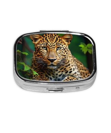 Wild Leopard Animal Printing 2 Compartment Small Pill Case Cute Small Pill Box Purse Pill Boxs Travel Pill Organizer for Pocket Purse and Travel Gifts