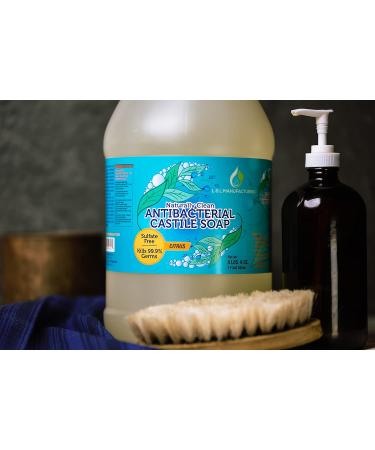 Citrus Antibacterial Pure Castile Soap - Vegan Non-GMO 1 Gallon | Face Hand & Body Wash for Dry & Sensitive Skin - Made in USA - Buy Online on GoSupps.com
