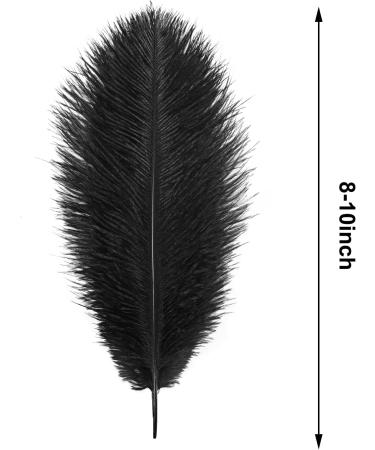 30pcs Black Ostrich Feathers 10-12 Inch - Ideal for Crafts & Decorations - Buy Online on GoSupps.com