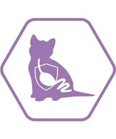 PRO PLAN Cat Junior - Rich in Chicken - 1.5 kg - Cat Food for Kittens - Buy Online on GoSupps.com