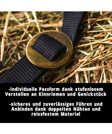 Adjustable Black Halter for Warm Bloods & Thoroughbreds | Safe Tear-Resistant Stable & Pasture Use - Buy Online on GoSupps.com