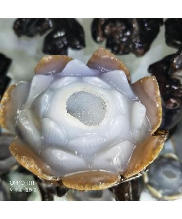 Natural Crystal Rough Natural Agate Geode Lotus Figurine Drusy Cluster Crystal Flower for Home or Wedding Decoration+Fashionable Wooden ba - Buy Online on GoSupps.com