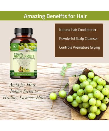 Organic Amla Capsules - 120 Count | Natural Antioxidant Superfood Supplement with Phyllanthus Emblica (Amalaki) Fruit Powder - Buy Online on GoSupps.com