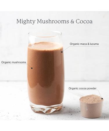 Dr. Fuhrman Chocolate Chaga Superfood Powder Organic Cocoa + Chaga Reishi Maca & Lucuma Vegan Gluten-Free Lightly Sweetened with Monk Fruit No Added Sugar 4.2 oz - Buy Online on GoSupps.com