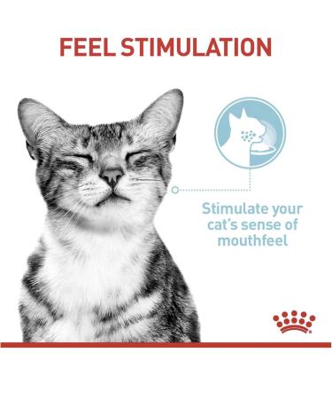 Royal Canin Sensory Feel In Jelly Wet Cat Food 12 x 85g Meat 12 count (Pack of 1) - Buy Online on GoSupps.com