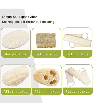 4-in-1 Exfoliating Loofah Back Scrubber Set for Deep Skin Cleansing - Luffa Sponge & Pads for Men and Women - Buy Online on GoSupps.com
