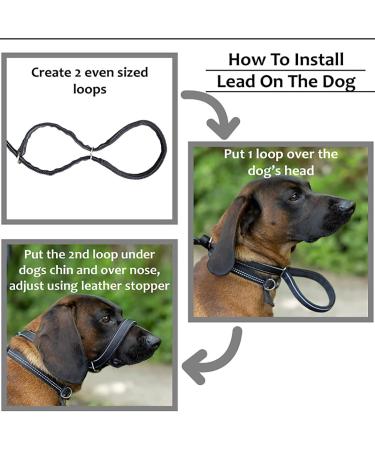 Dog Head Collar All in one Headcollar Lead No-Pull Head Collar for Dogs No Pull Training Tool for Dogs on Walks Adjustable Dog Lead 2m for Small Medium and Large Dogs - Buy Online on GoSupps.com